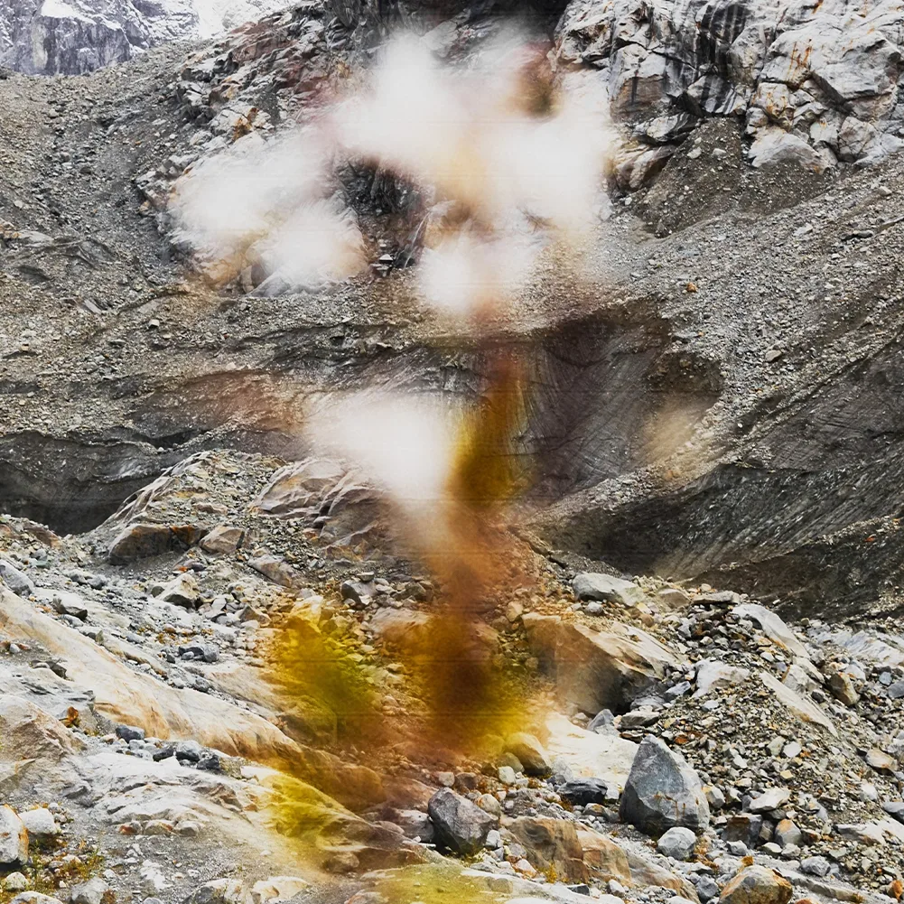 The Saxifraga flower, with delicate white petals, growing resiliently among rocks.
